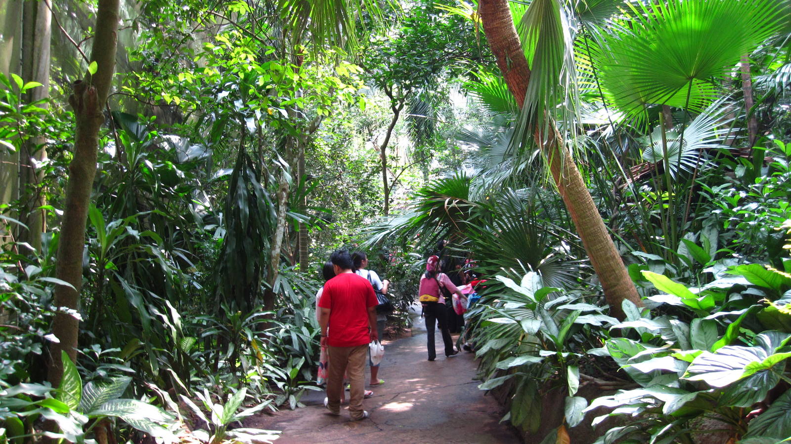 Fragile Forest Biodome, Singapore Zoo