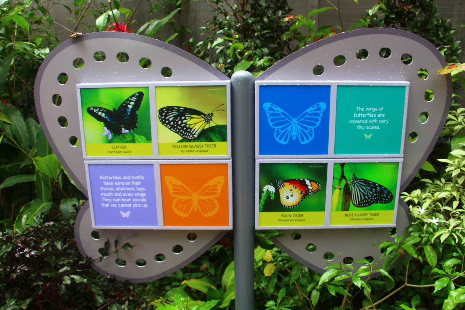 Fragile Forest - Butterfly Aviary Signage