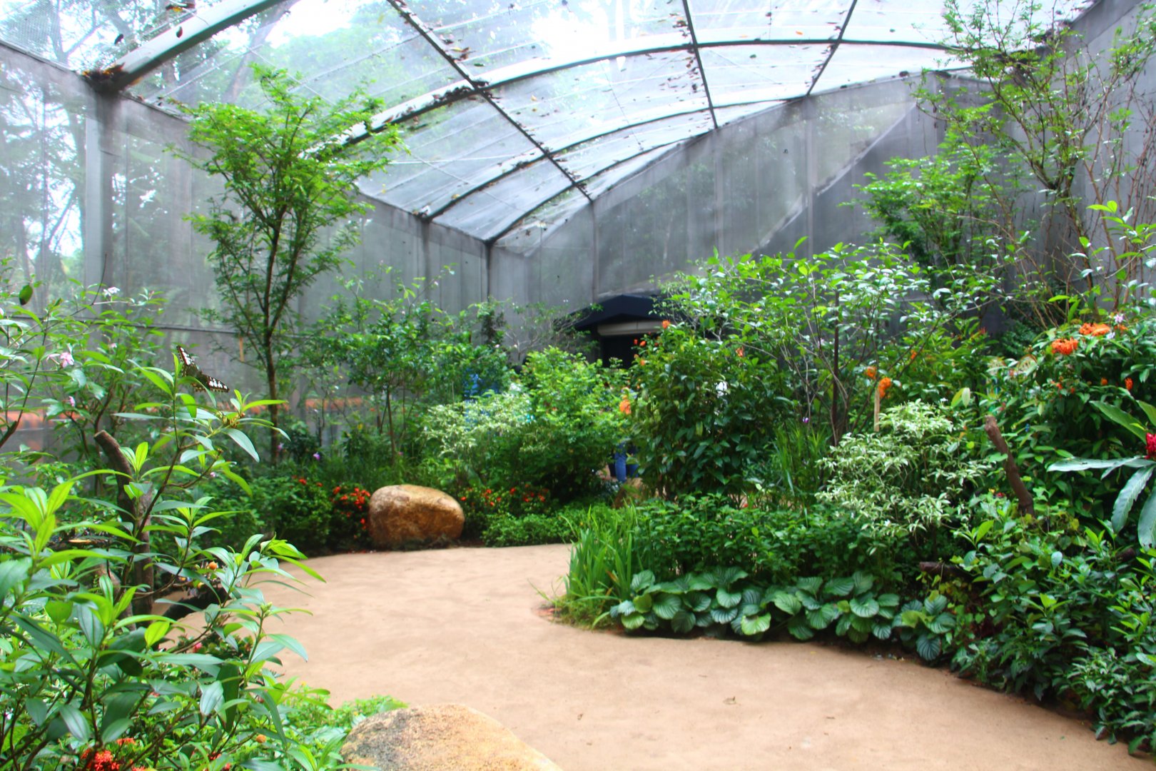 Fragile Forest - Butterfly Aviary