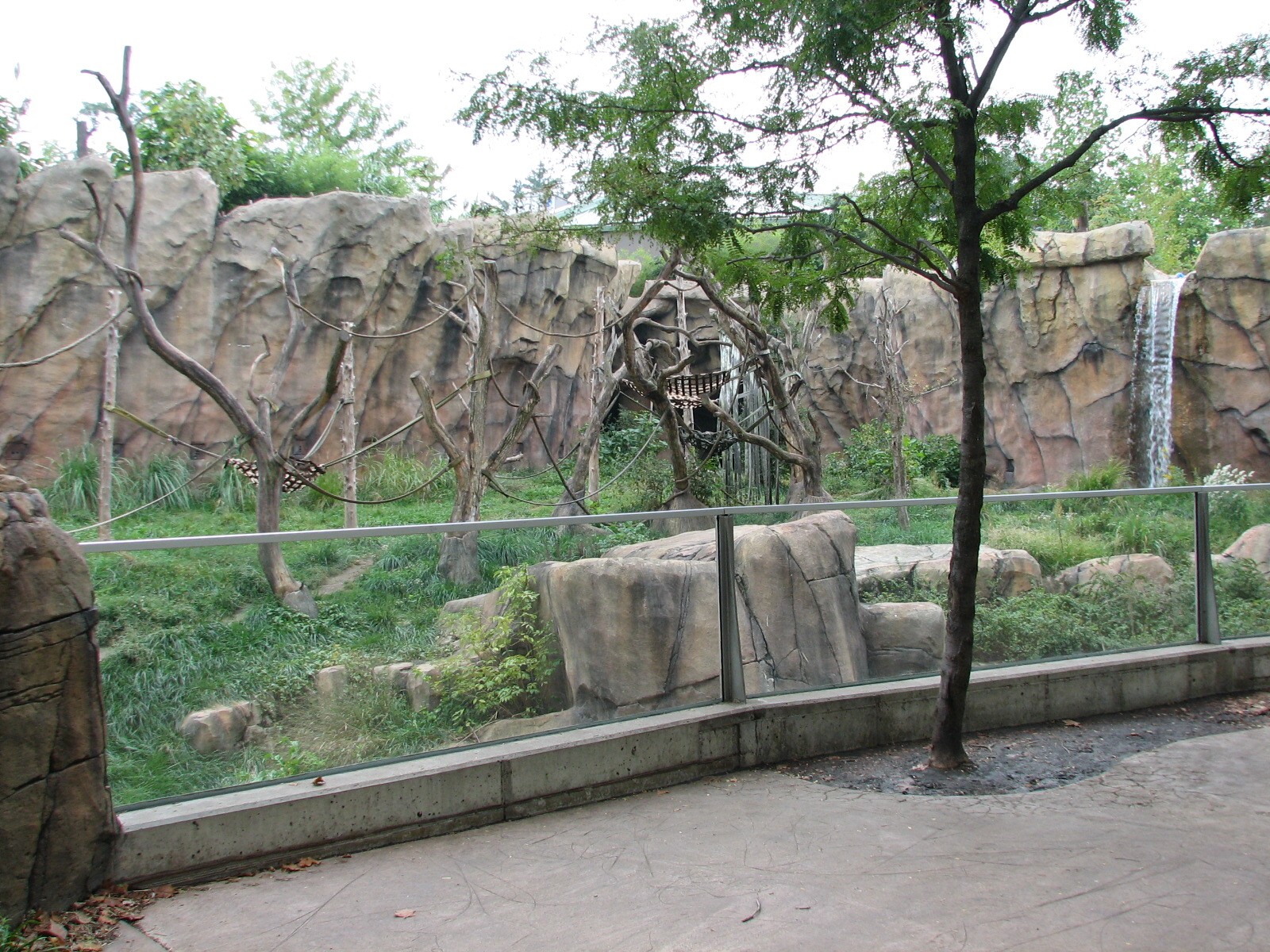 Fragile Forest - Chimpanzee Exhibit