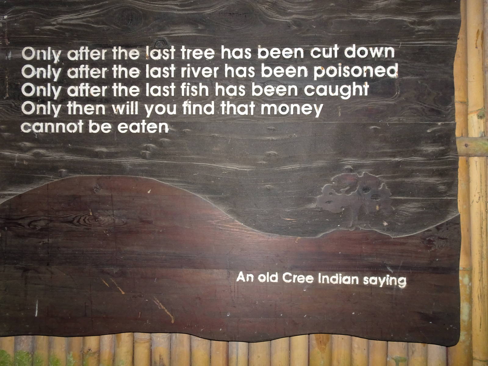 Fragile Forest, December 2015