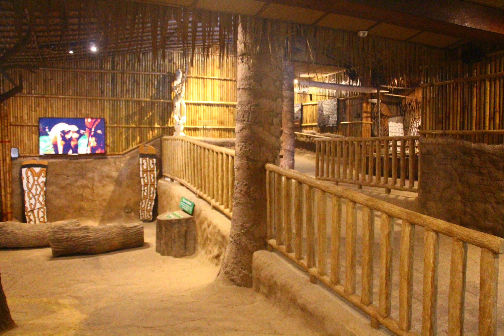 Fragile Forest - Discovery Centre