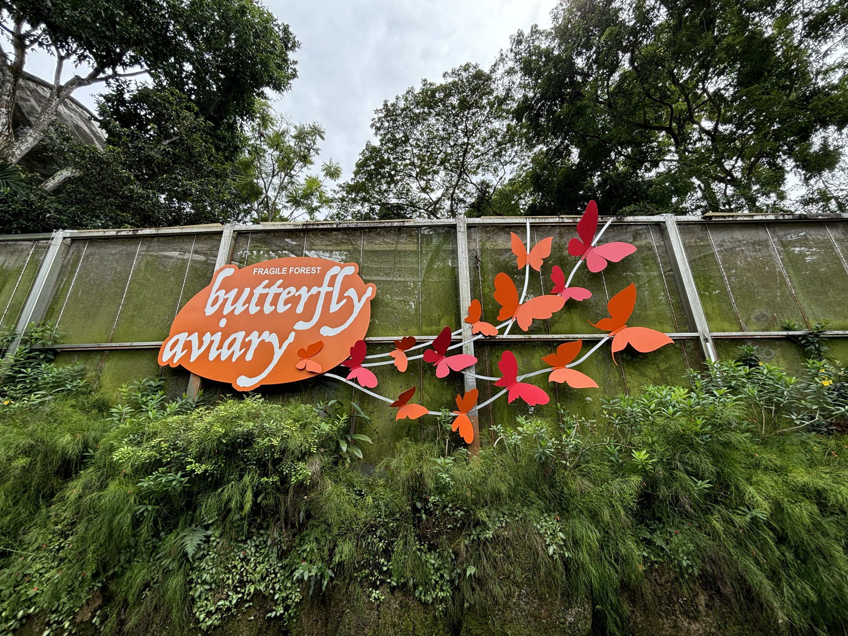 Fragile Forest - exterior