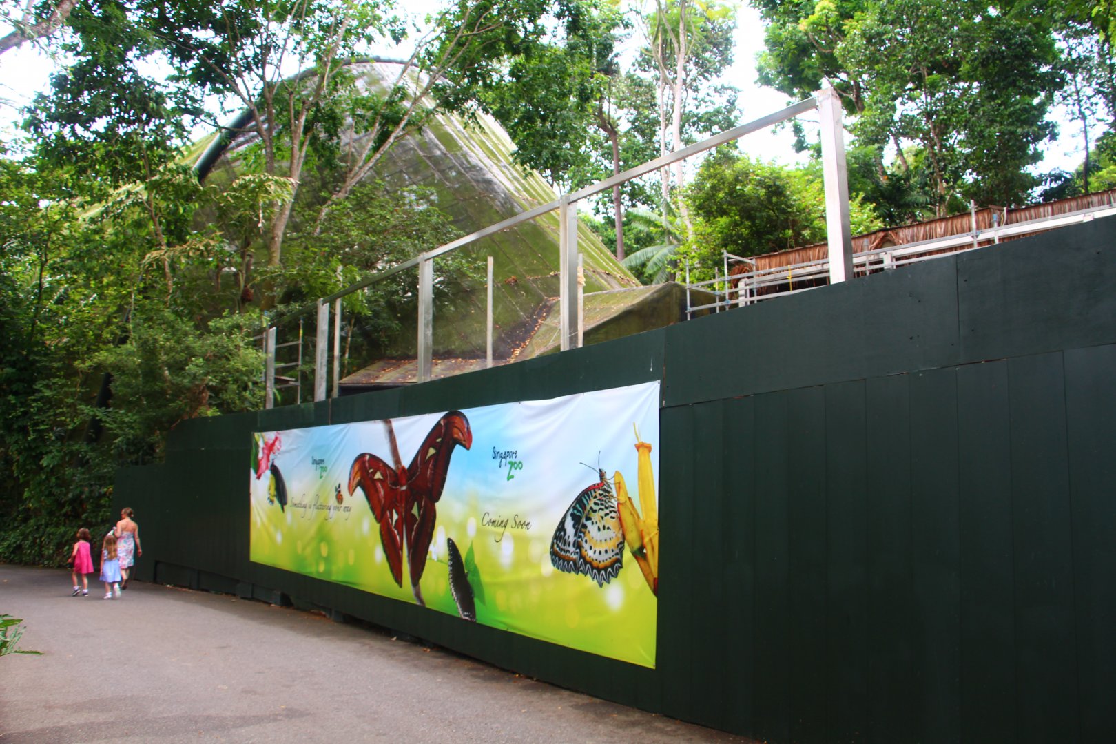 Fragile Forest - New Butterfly Aviary