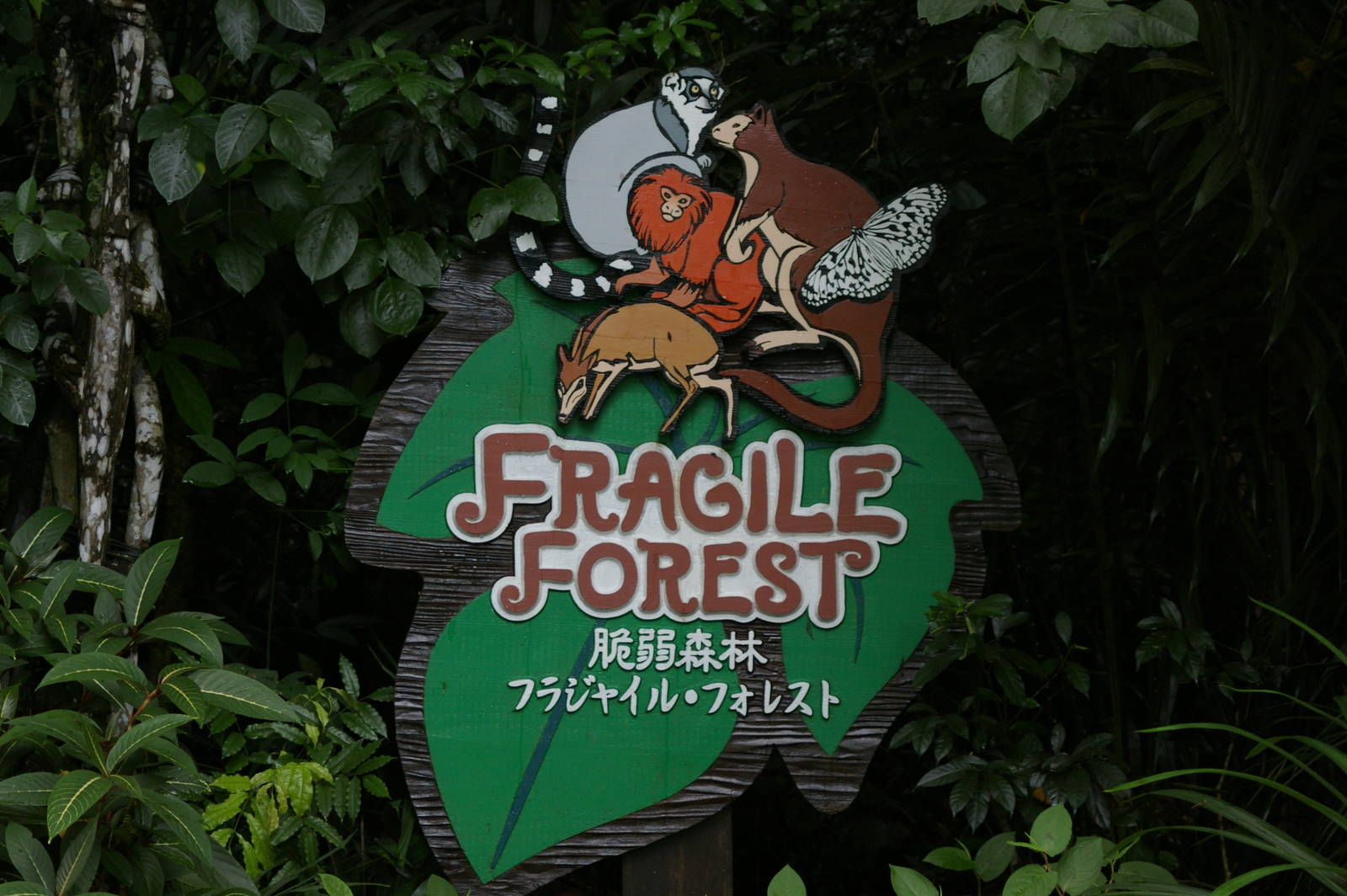 Fragile Forest sign