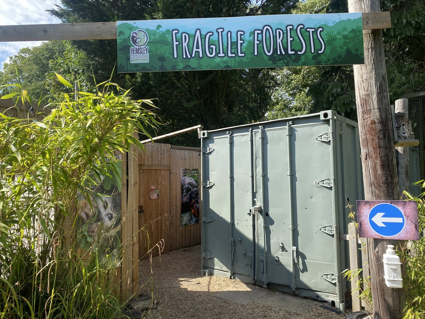 Fragile Forests 290723