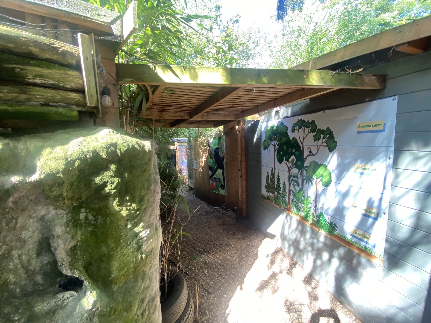 Fragile Forests 290723