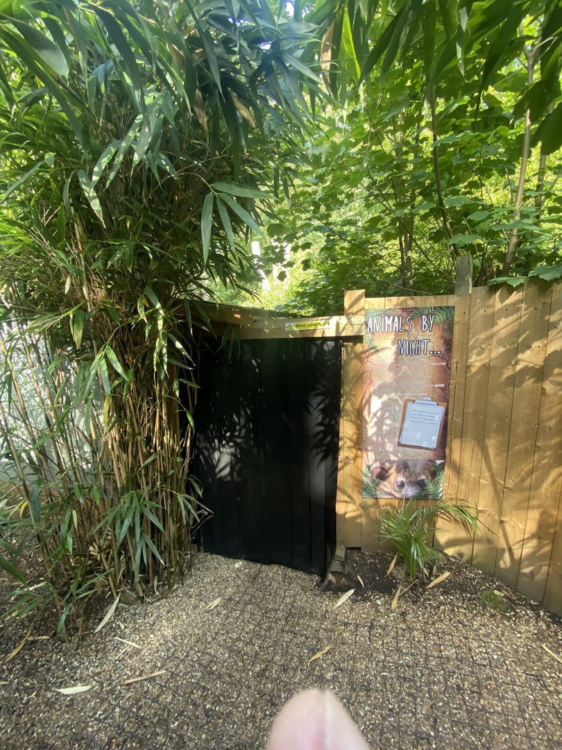 Fragile Forests Animals by Night… 290723