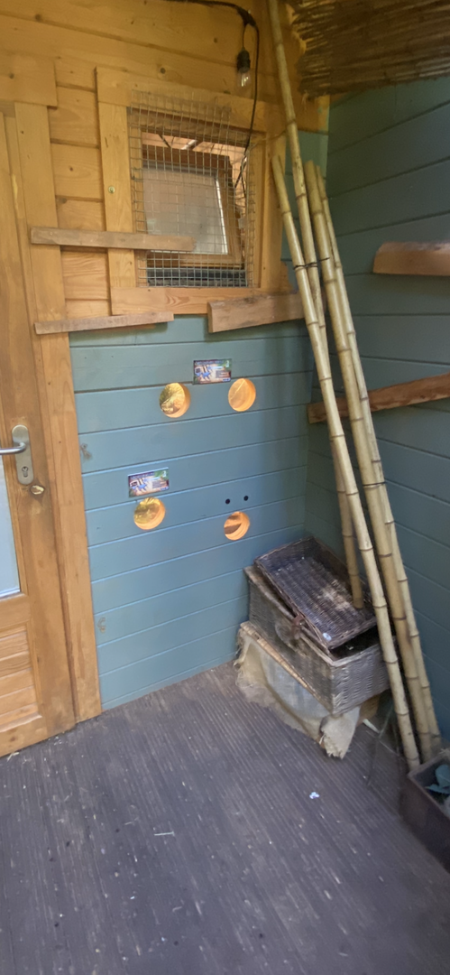 Fragile Forests Discovery Outpost 290723