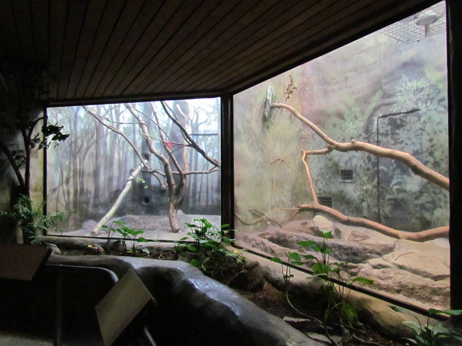 Fragile Forests - Empty Exhibits