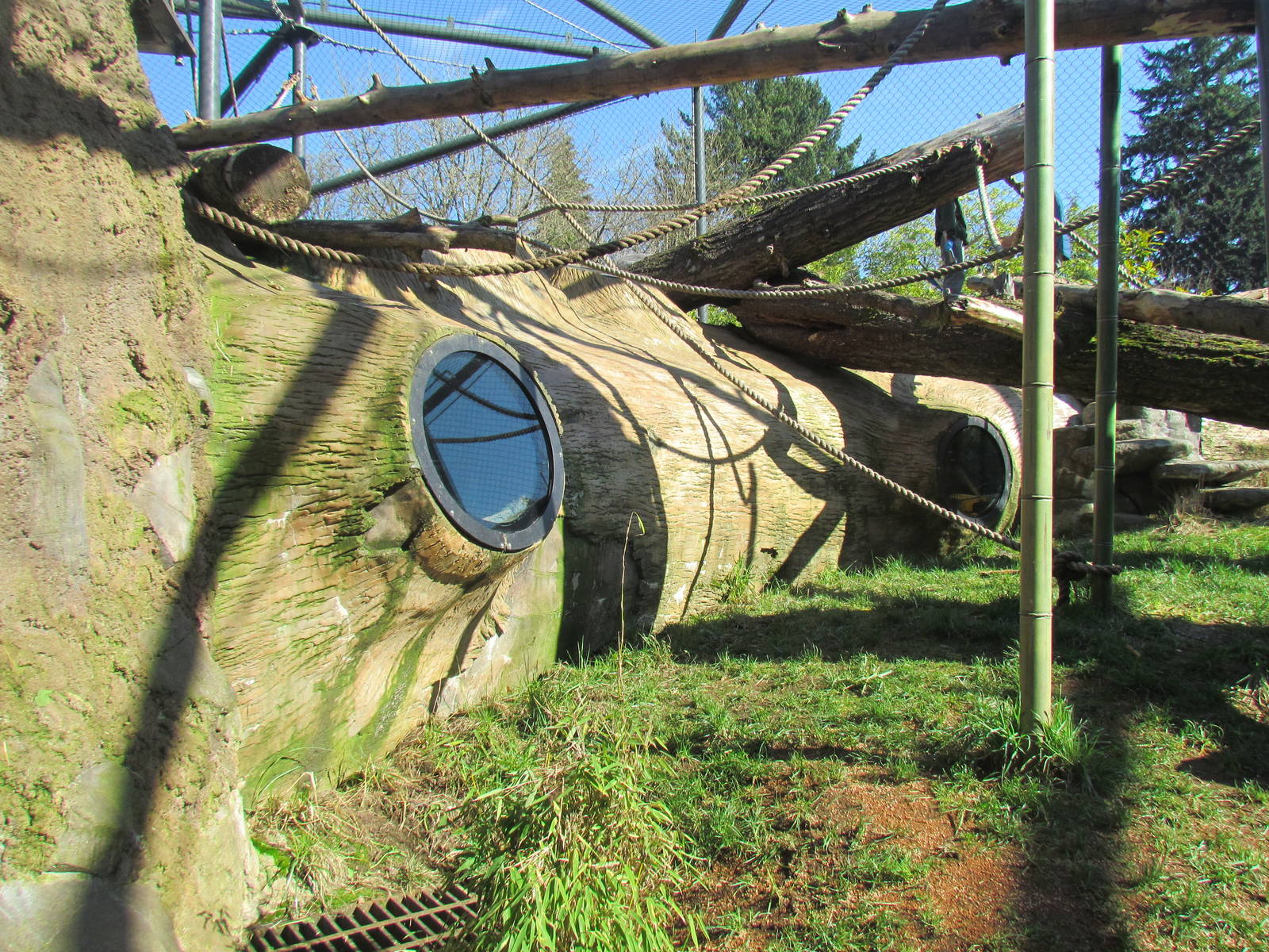 Fragile Forests - Red Ape Reserve