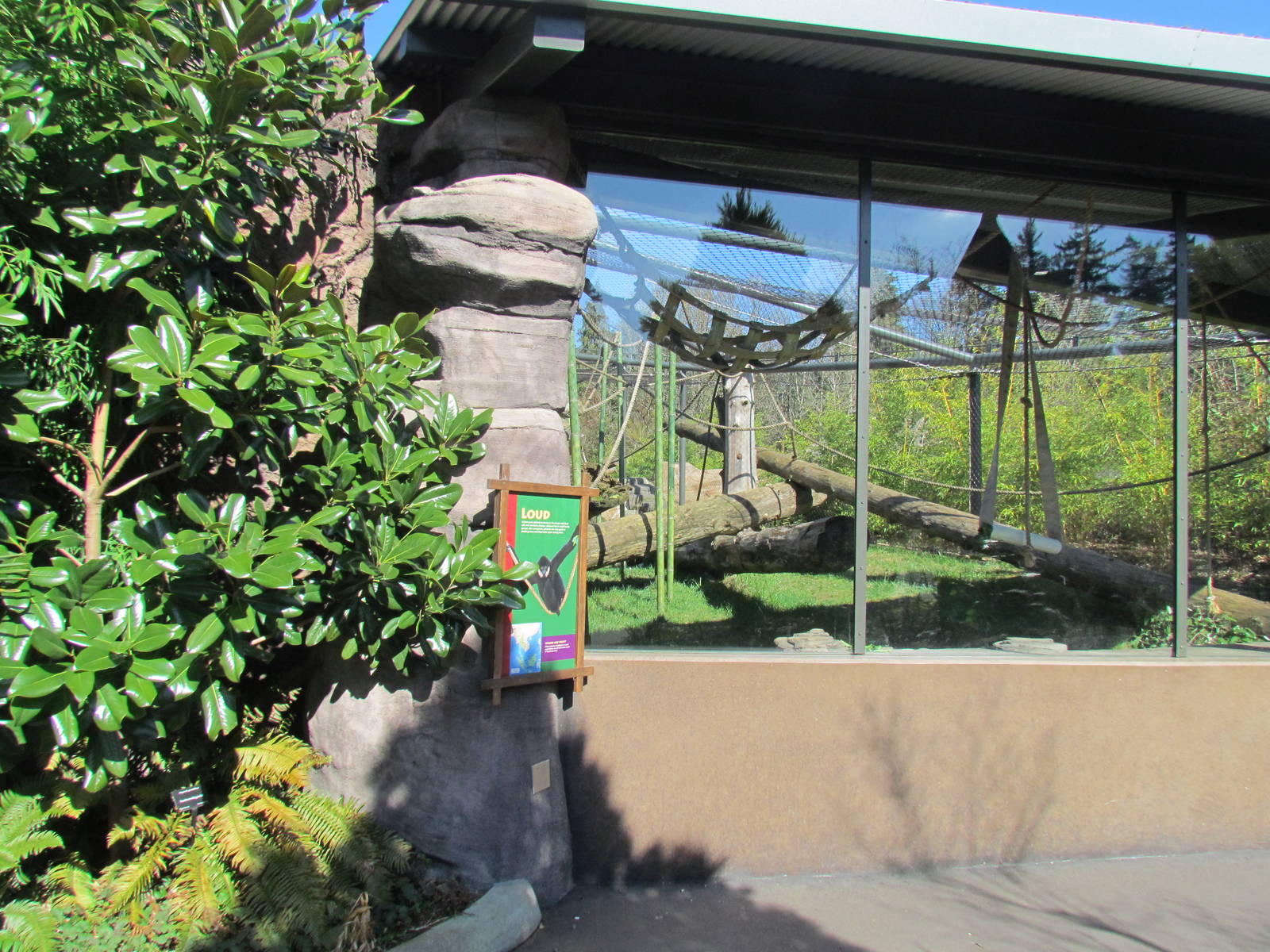 Fragile Forests - Red Ape Reserve