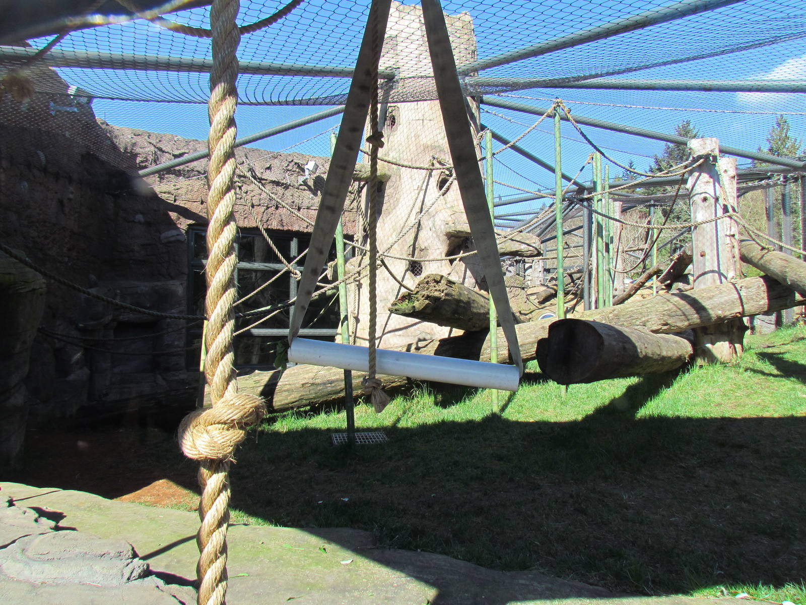 Fragile Forests - Red Ape Reserve