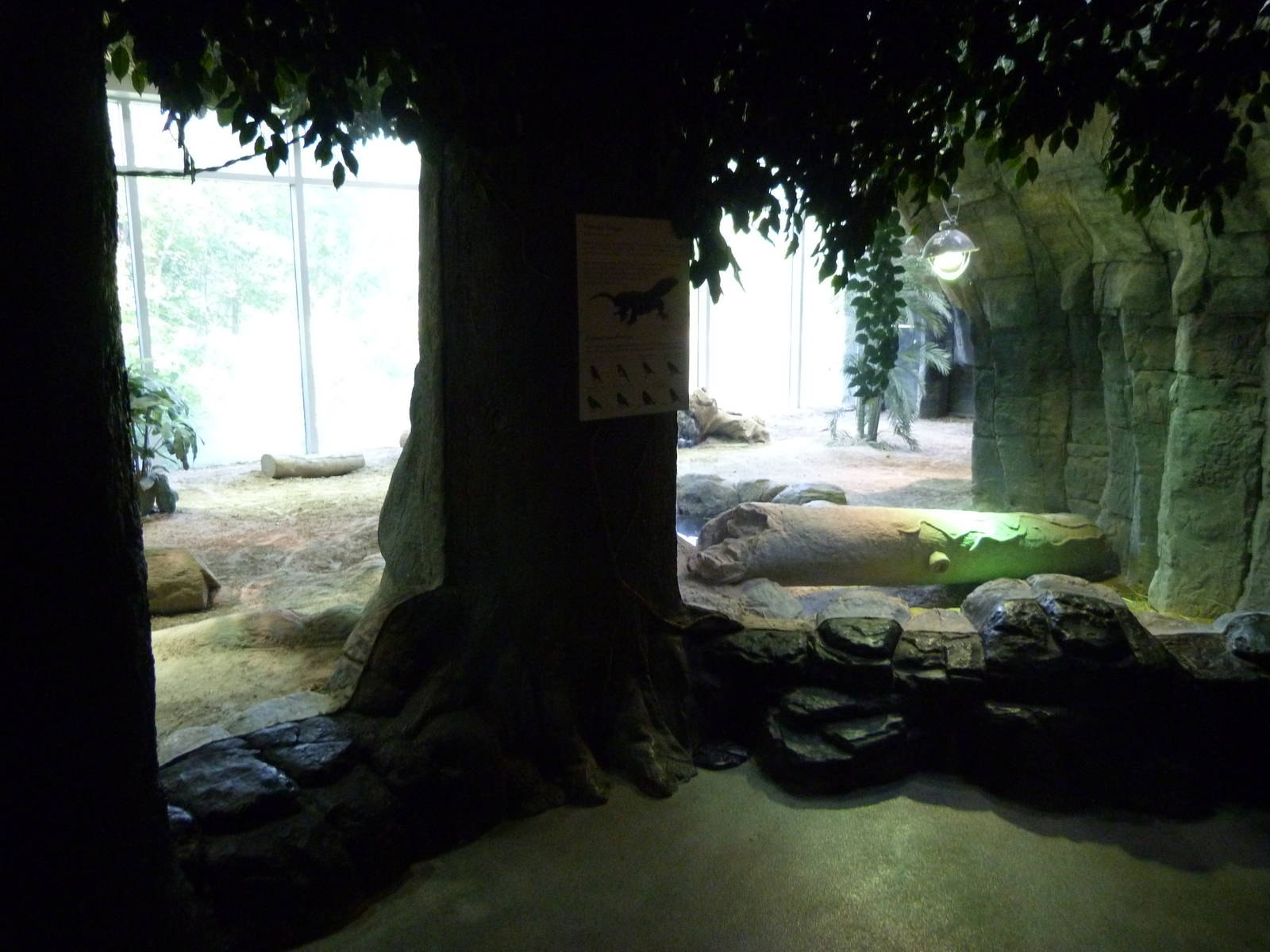 Fragile Kingdom - Komodo Dragon (7-18-12)