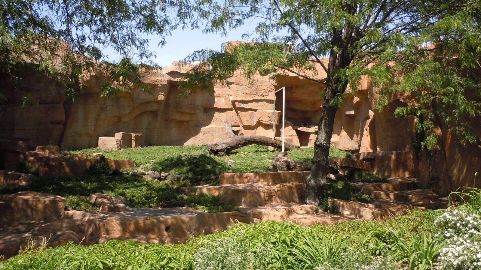 Fragile Kingdom-Lion Exhibit