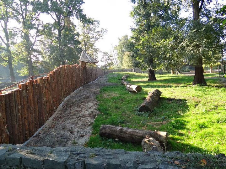 Fragment of the new paddock Okapia johnstoni