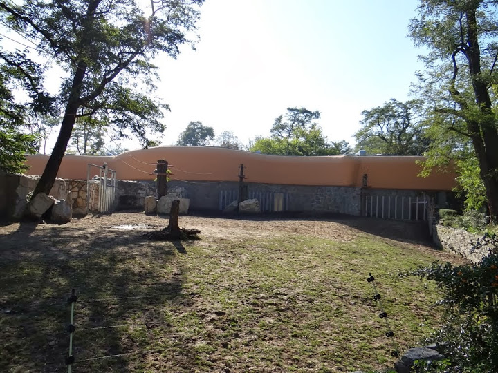 Fragment of the paddock Rhinoceros unicornis