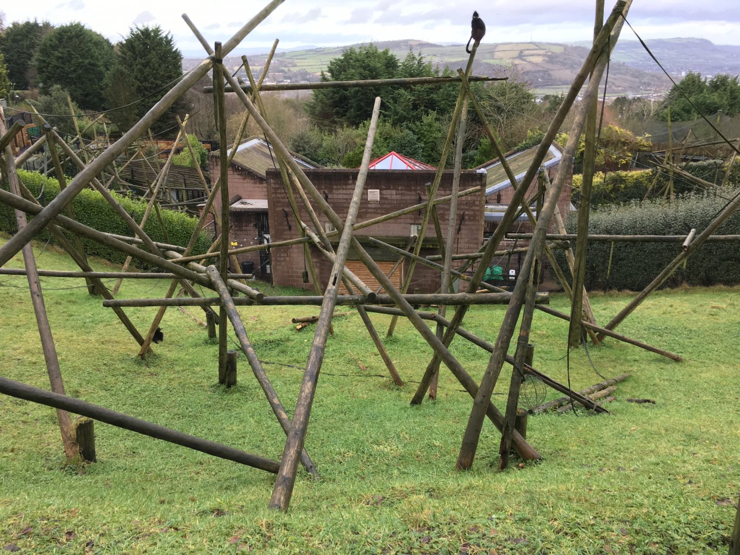 Francòis Languar Exhibit