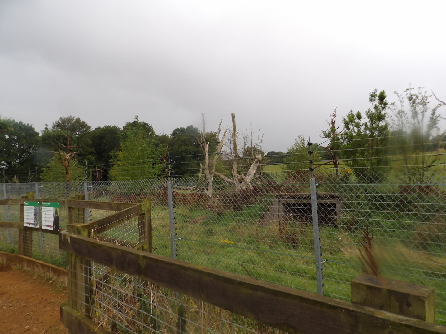 Francois Langur & Babirusa Enclosure