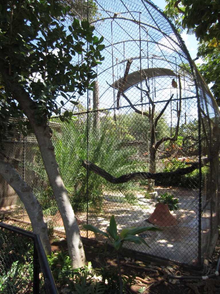 Francois Langur cage