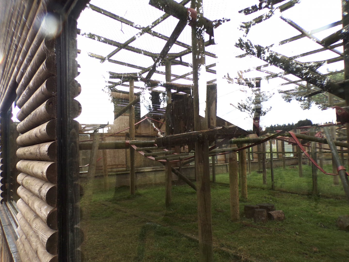 Francois langur enclosure 7.7.24