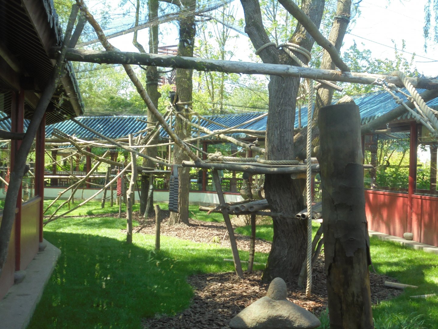 Francois langur enclosure(part of)