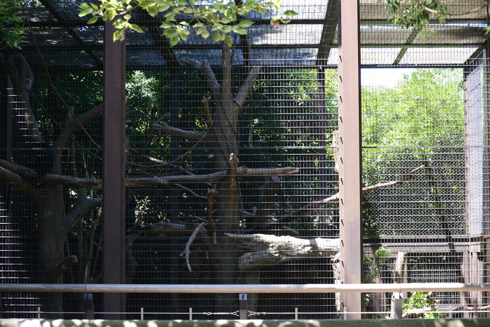 Francois langur enclosure (second)