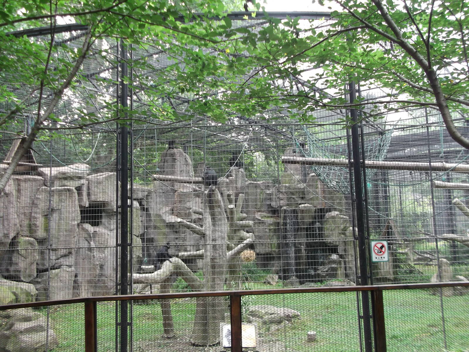 Francois Langur enclosure