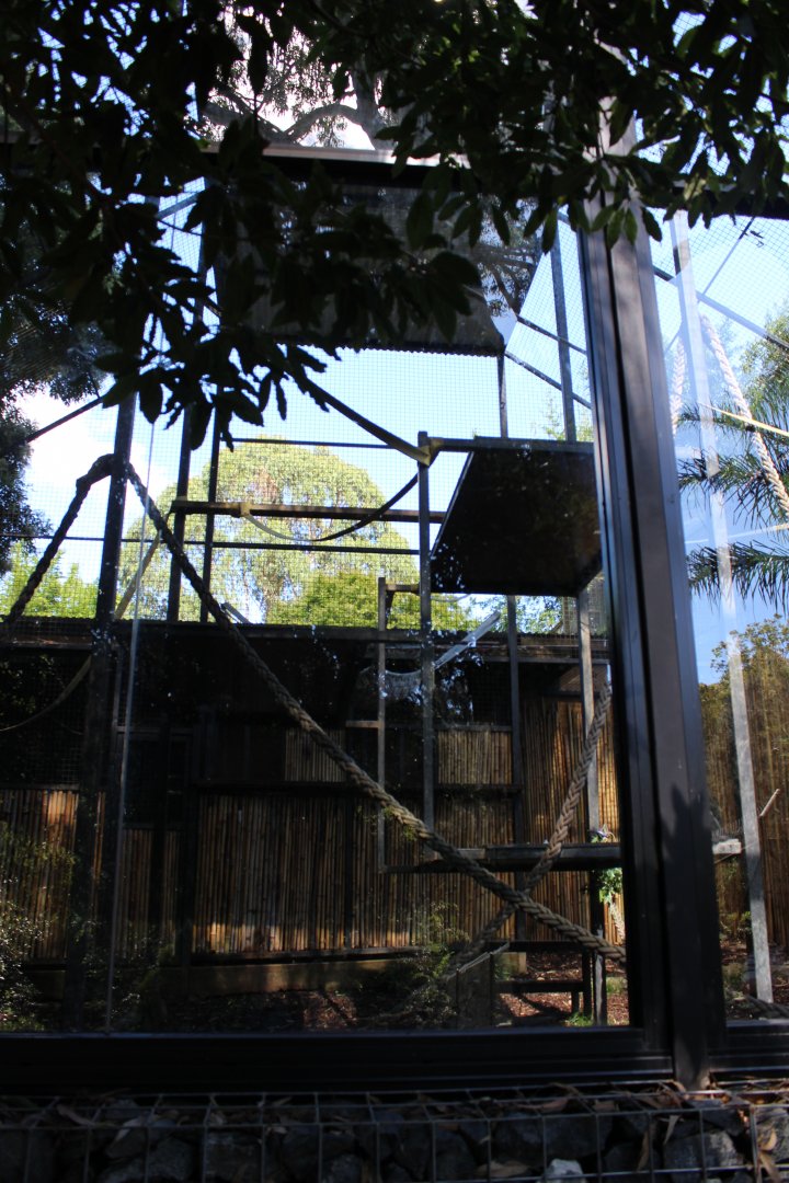 Francois Langur Enclosure