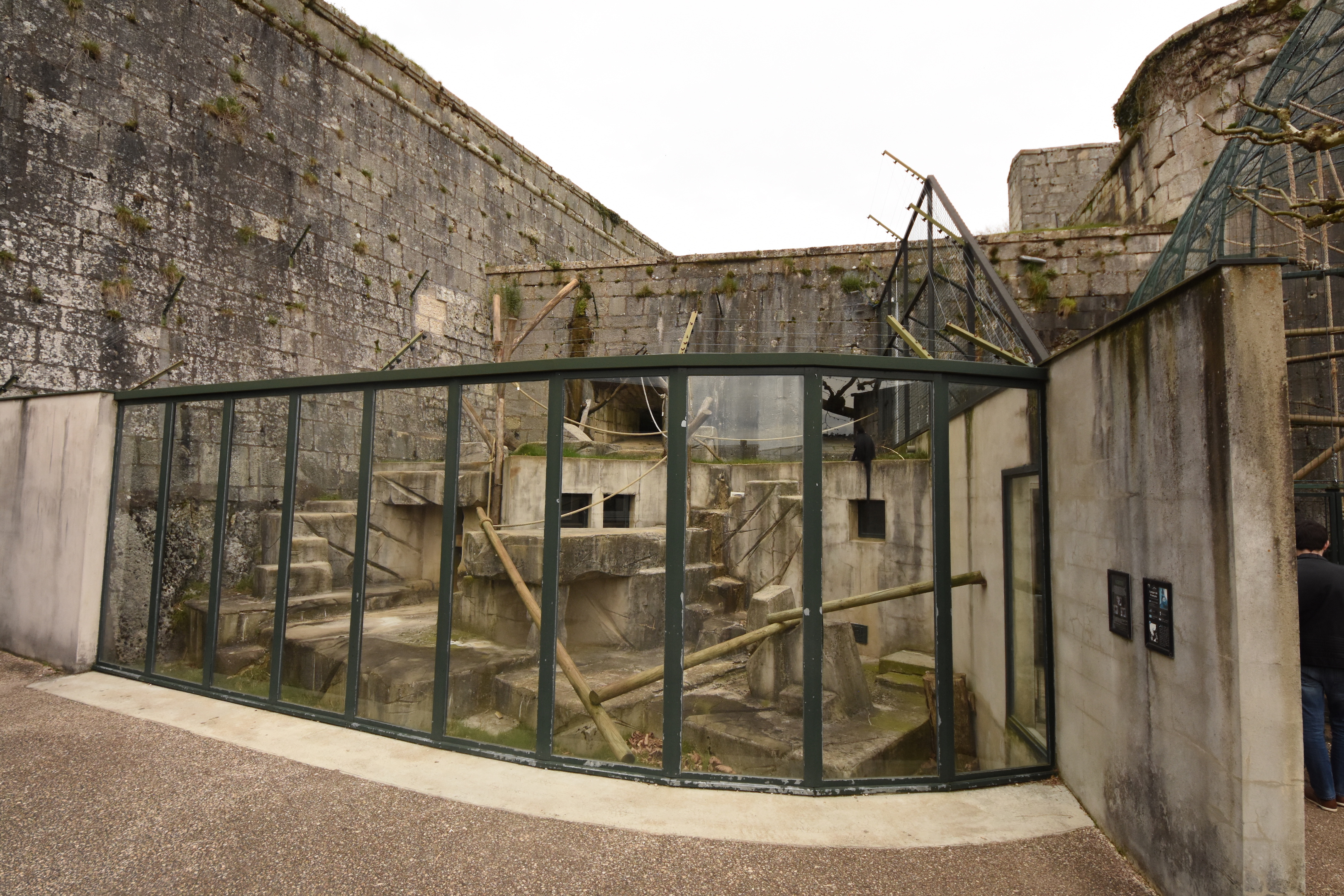 Francois langur enclosure