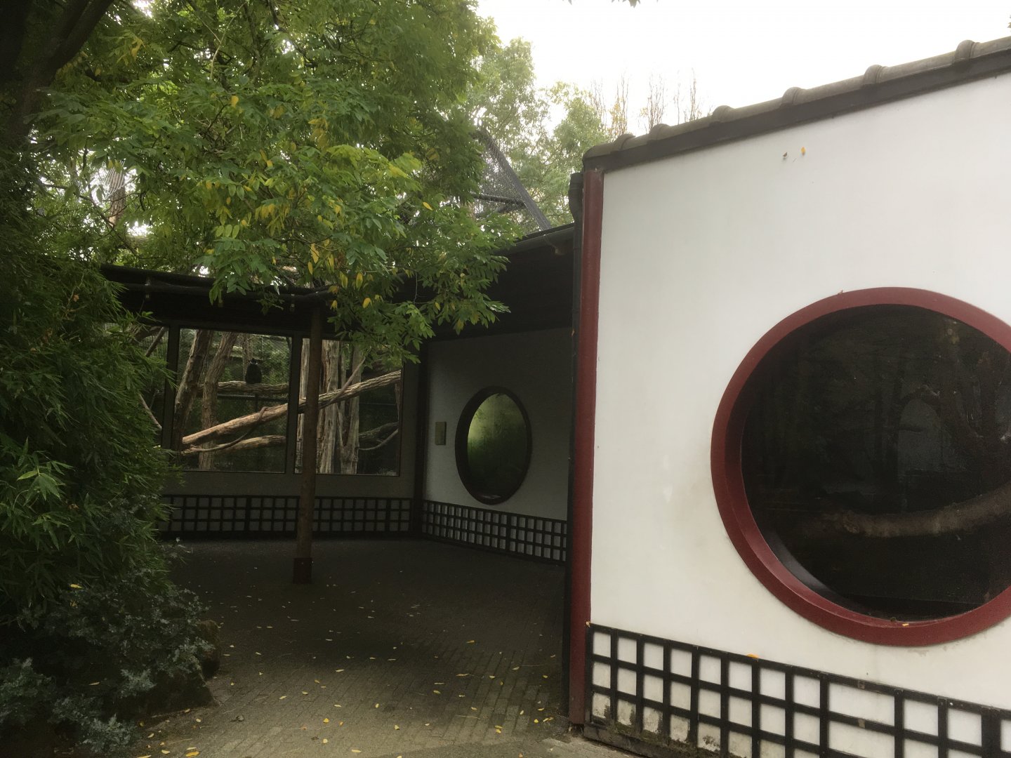 Francois langur enclosure