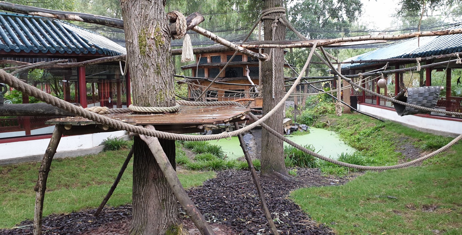 Francois langur enclosure