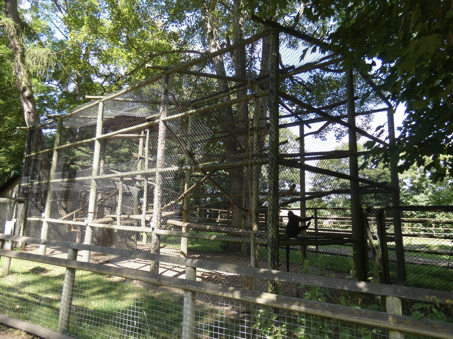 Francois Langur enclosure