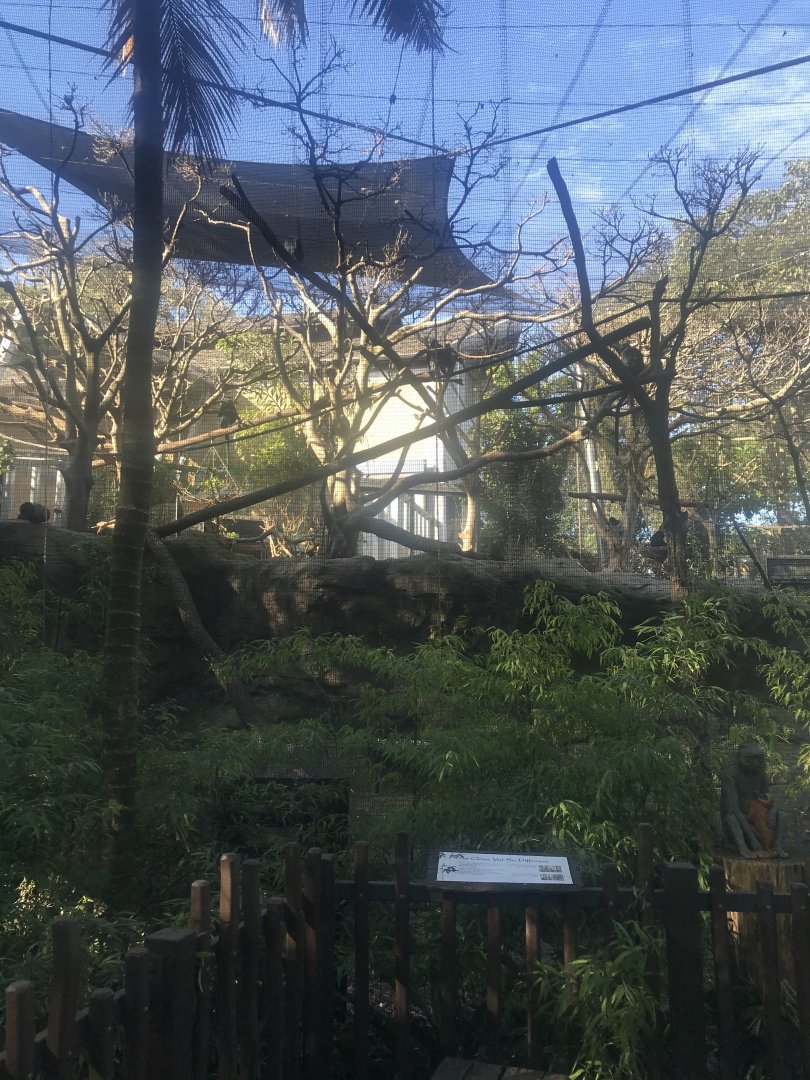 Francois Langur Enclosure