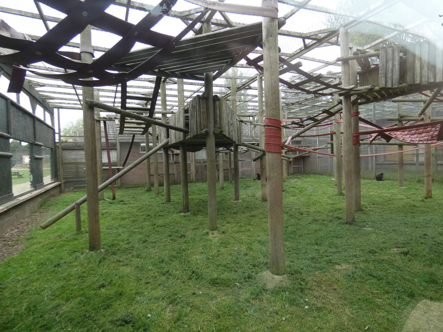Francois' langur enclosure