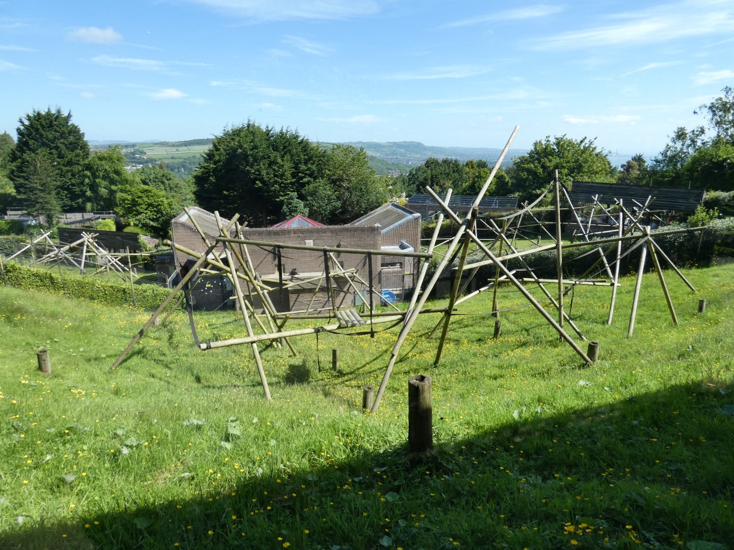 Francois langur enclosure