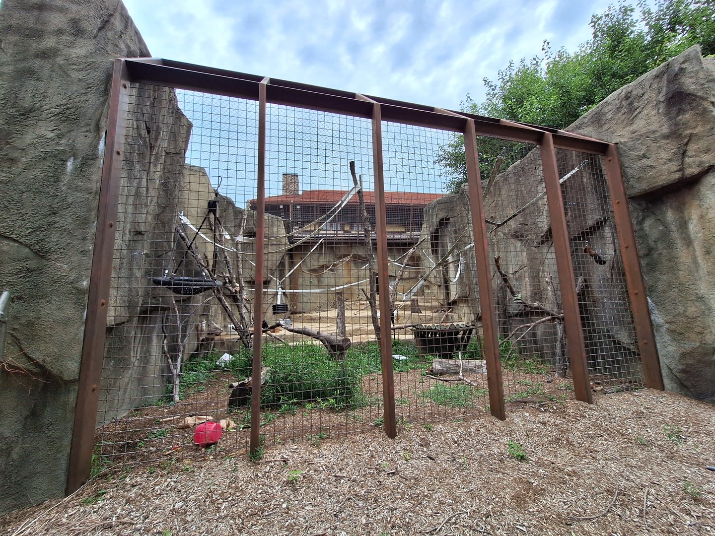 Francois Langur enclosure