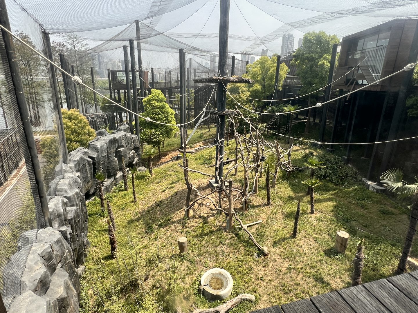 Francois Langur Exhibit #2