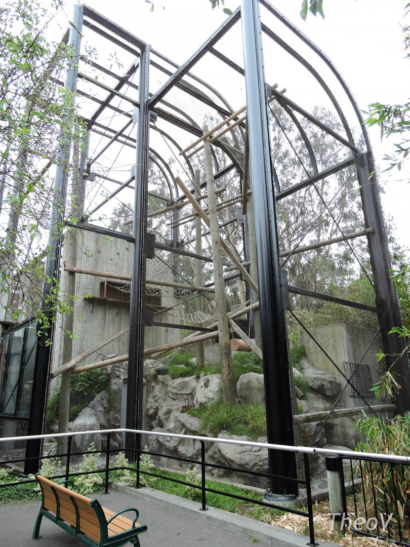 François' langur exhibit [2015]