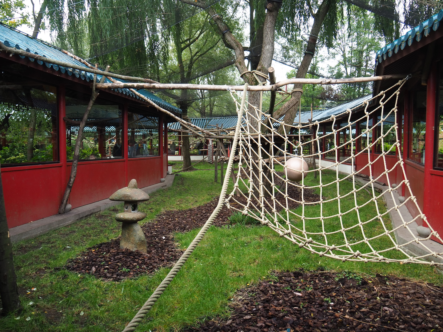 François' langur exhibit, 2019-10-05