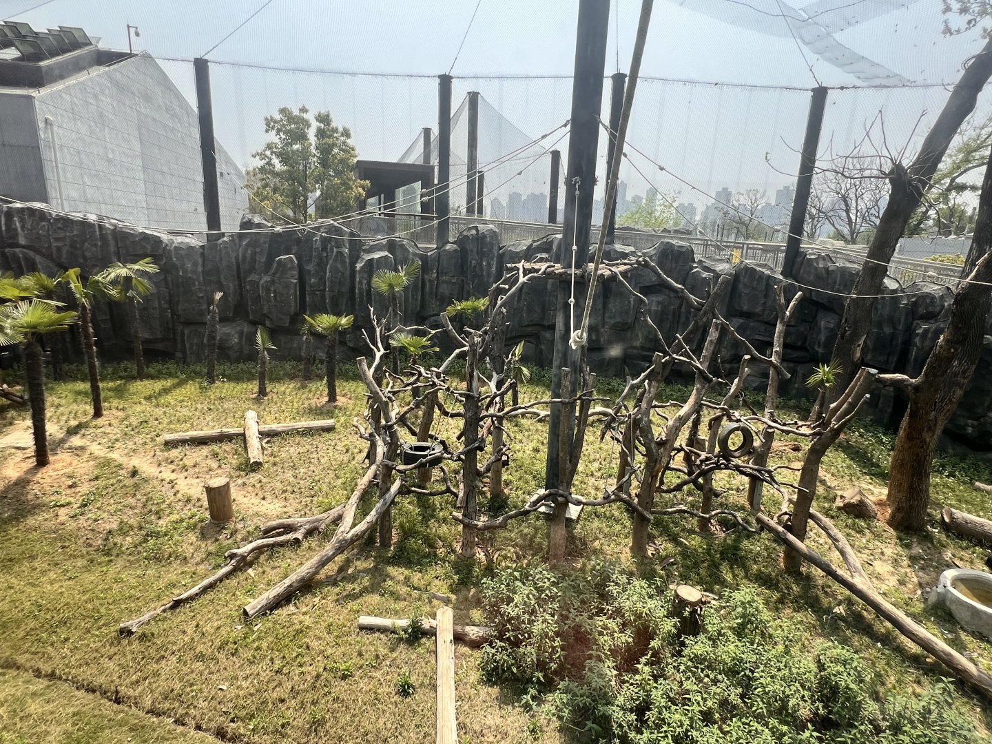 Francois Langur Exhibit #3