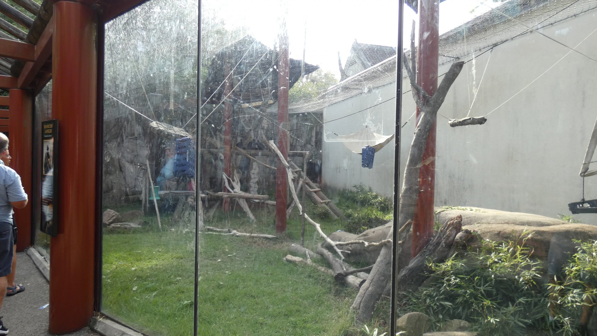 François' Langur Exhibit, China - Sep. 2021