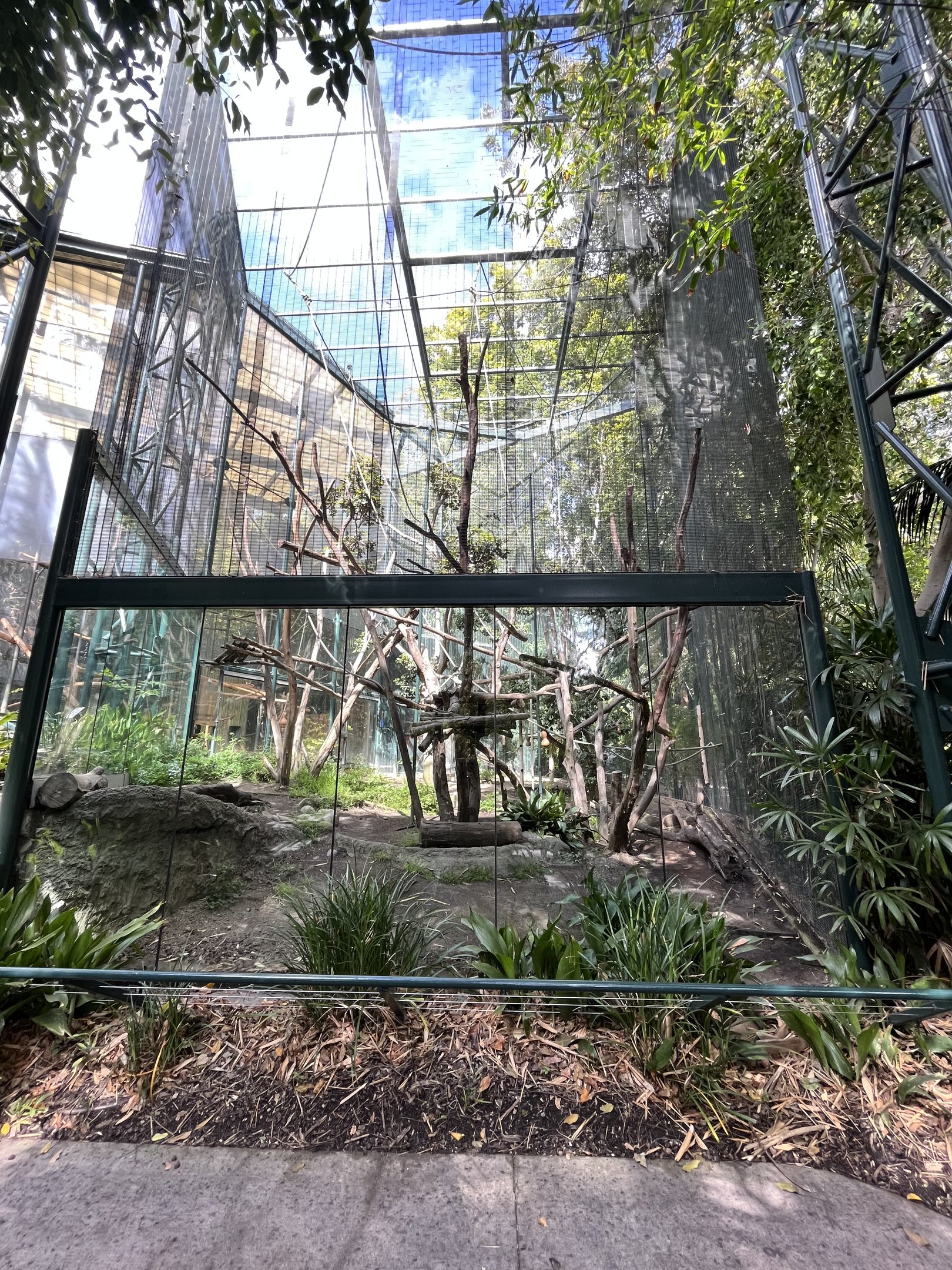 Francois’ Langur Exhibit (only 50%)