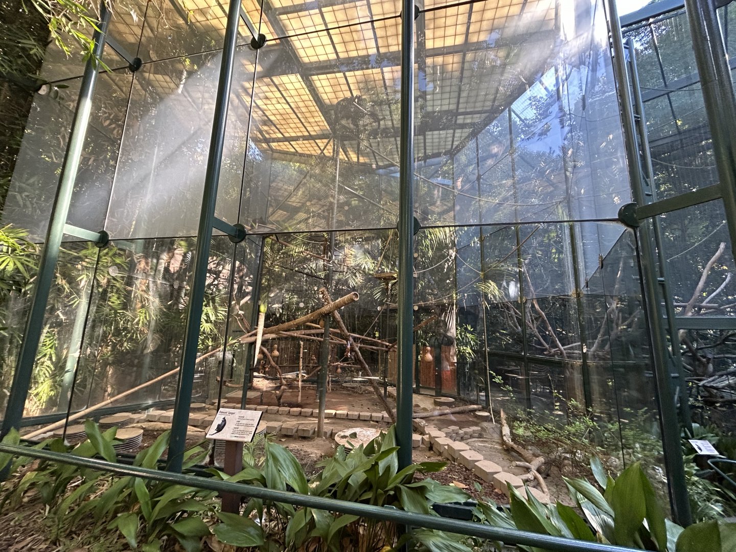 Francois Langur Exhibit - Sun Bear Forest