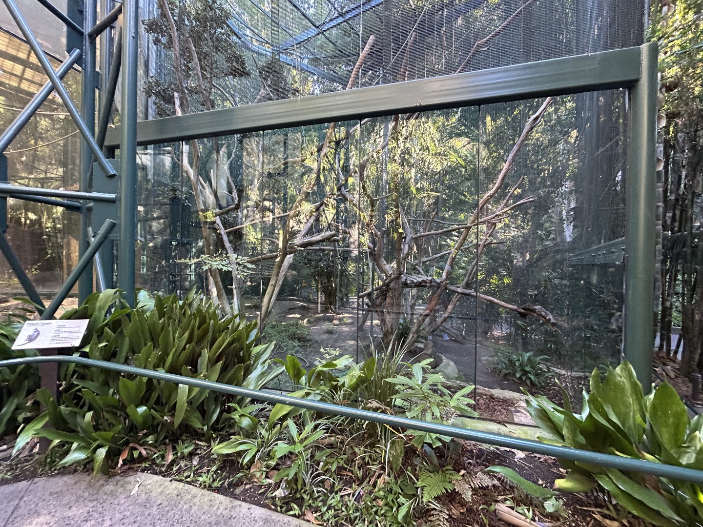 Francois Langur Exhibit - Sun Bear Forest