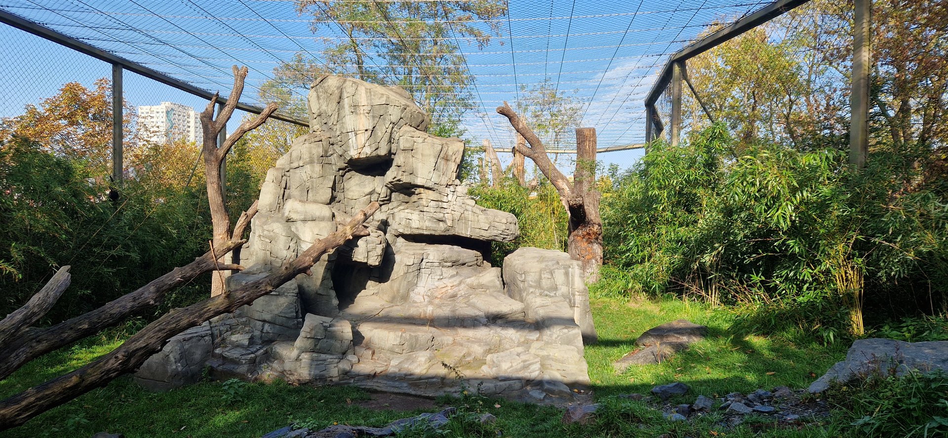 François Langur exhibit