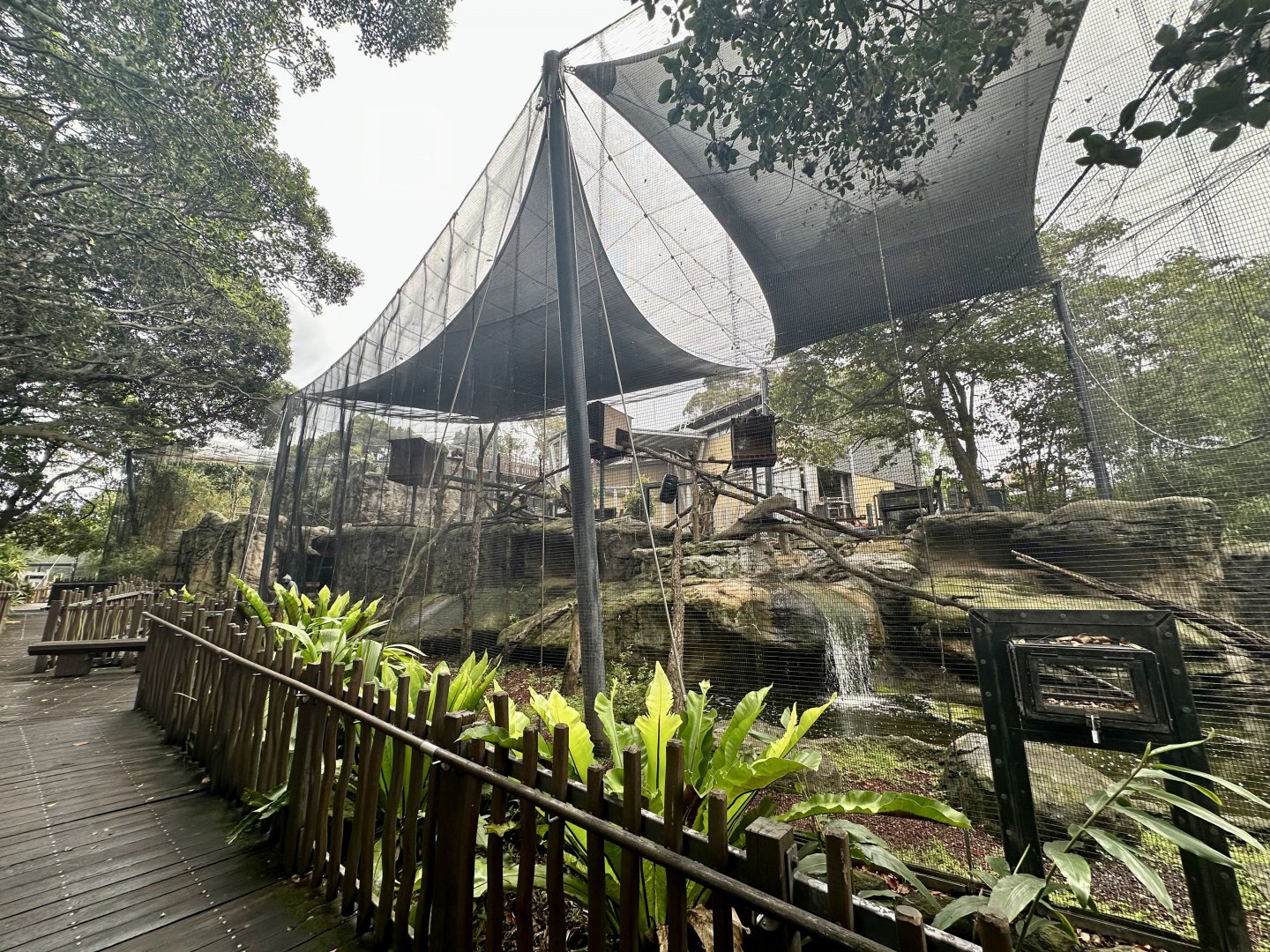 Francois Langur Exhibit