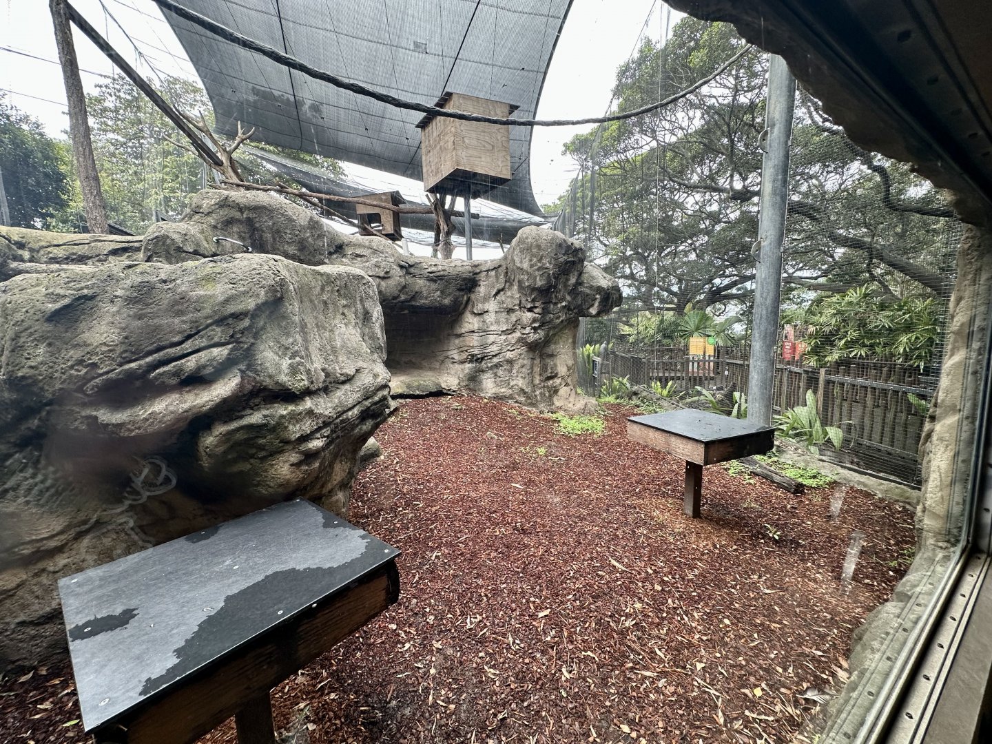 Francois Langur Exhibit