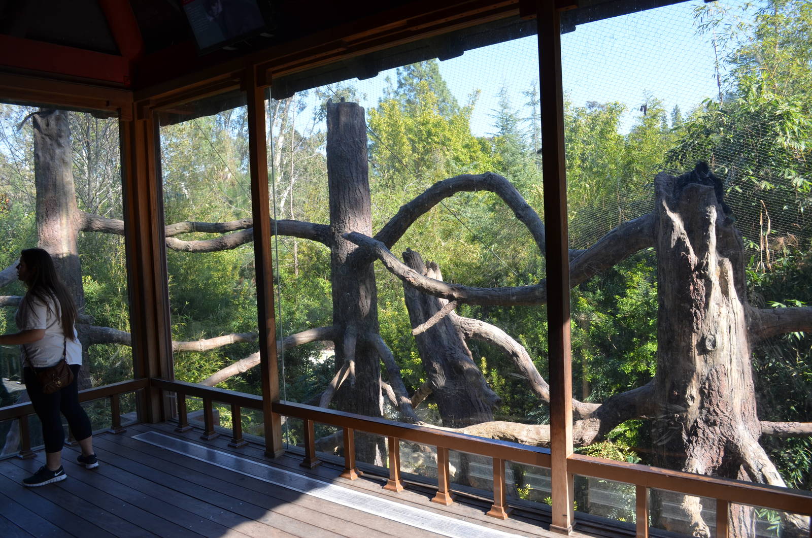 Francois' Langur Habitat