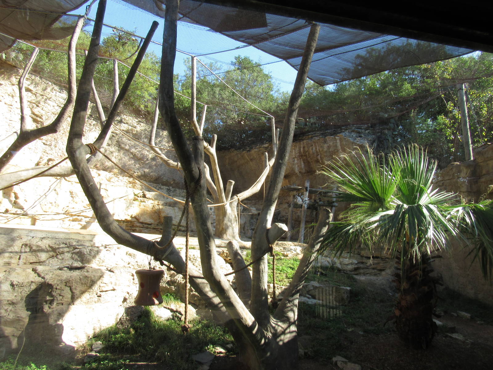 Francois Langur Habitat